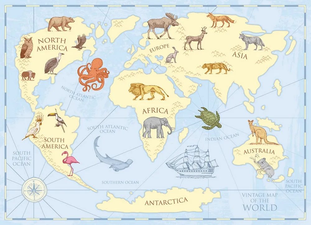 Carta da parati geografica per camerette